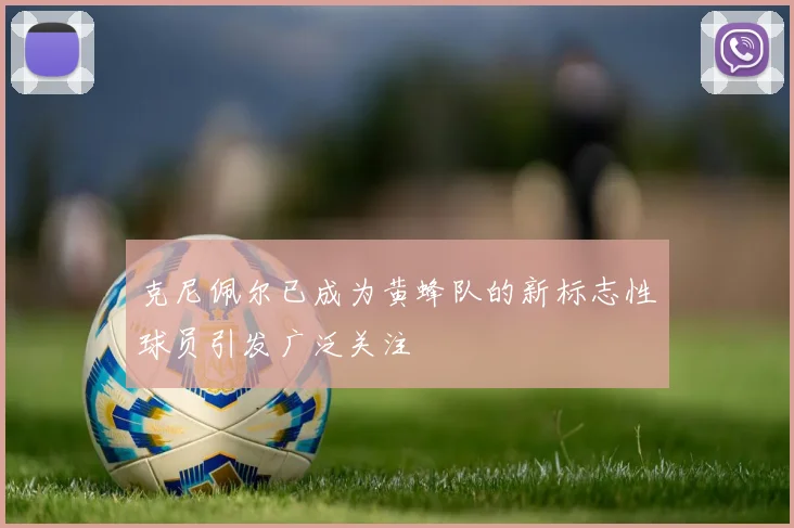 克尼佩尔已成为黄蜂队的新标志性球员引发广泛关注