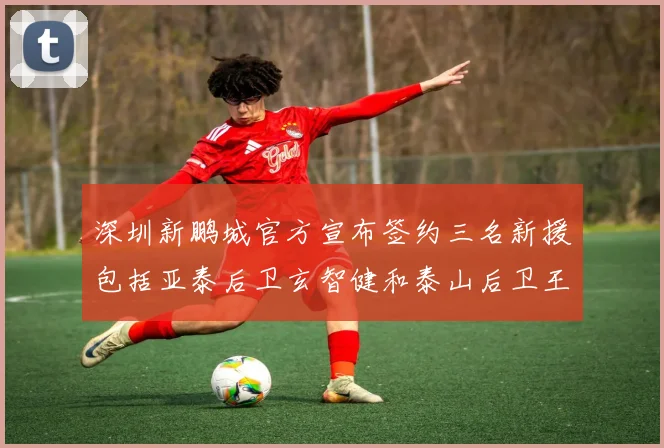 深圳新鹏城官方宣布签约三名新援包括亚泰后卫玄智健和泰山后卫王昱衡