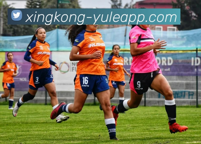 星空娱乐APP 封面图