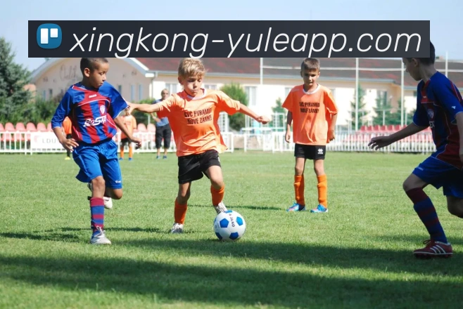 数据防护可视化